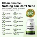 lactobacillus-rhamnosus-probiotic-240-ta-3.jpg