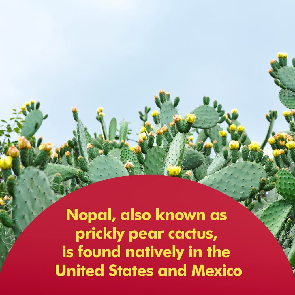 santo-remedio-resveratrol-nopal-bundle-6.jpg