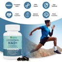 ingreens-liposomal-nad-supplement-1800-m-5.jpg