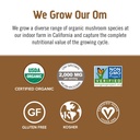 om-mushroom-superfood-coffee-latte-blend-4.jpg