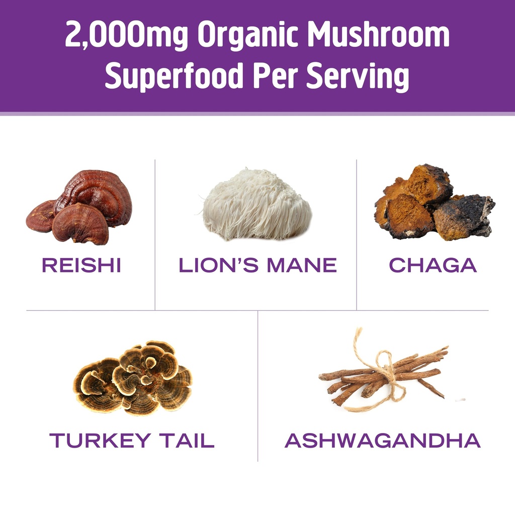 om-mushroom-superfood-hot-chocolate-blen-4.jpg