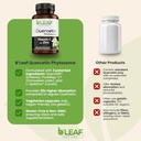 bleaf-nature-quercetin-phytosome-120-cap-5.jpg