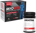 Myogenix Myoviteマルチビタミン&クレアチンモノハイドレートバンドル - 完全な毎日の栄養と純粋な強さサポート - 燃料エネルギー、筋肉の成長、耐久性と回復