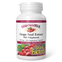自然な要因、GrapeSeedRichのブドウの種のエキス、健康な炎症反応、120のカプセルのための酸化防止サポート