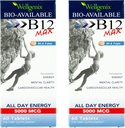 Wellgenix Bio-Available Sublingual B12 Max - 高吸収のために処方 - 栄養マルチビタミンB12、B6、フォーレート - 高速分解(60 Ct)2パック