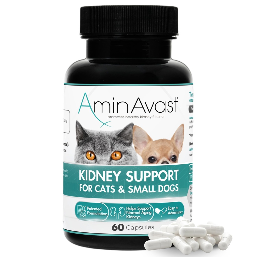 AminAvastの小さい犬及び猫の腎臓サポート-猫及び小さい犬- 300mg、60カプセルの健康な腎臓サポートを促進して下さい