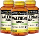 MASON NATURALのValeianの根500のmgの6か月の供給、自然な睡眠の援助、促進の健康な及び残りの睡眠、草の補足、3のパック