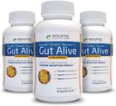 Gut Alive - IBS、Heartburn、酸の消化器、酸の還流器、膨脹及びガスを戦うためのすべての自然なサポート。 独特な公式(60の計算)