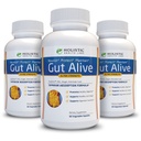 Gut Alive - IBS、Heartburn、酸の消化器、酸の還流器、膨脹及びガスを戦うためのすべての自然なサポート。 独特な公式(60の計算)