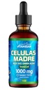 CelulasのMadresの茎の細胞サポート、植物ベースの、アダプトゲンのブレンド、Cordyceps、Rhodiola Rosea、Afa、Astragalus、Bの複合体、Reishi、Ganoderma、青緑の藻、Spirulina、1000mg自然な13の主原料。