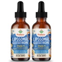 2000MG Liposomalのグルタチオンの液体、98%の吸収、活動的な形態L-グルタチオンの補足、完全菜食主義者の友好的な、免疫システム、老化の防衛、デトックス、4 FL.OZのための強力な酸化防止コンプレックス