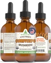 RawGuruコルディセプキノコサプリメント - トレースミネラルとビーガンコルディセプ抽出物 - ナノ加工免疫ブースト&認知サプリメントチンキ - 60mlあたりのビーガンドロップの60サービング、パック1