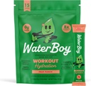 ウォーターボーイ ワークアウトのHydration | 2,960mg 砂糖 無料の電解質の粉のパケット | L-グルタミン + ビタミン | 砂糖、すべての自然、グルテンフリー | 15 ドリンク スティック ミックス (フルーツ パンチ)