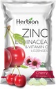 HERBIONの自然な亜鉛、Echinacea及びビタミンCのLozenges 25 CTの大人及び子供5+のための食事療法の補足は全家族、25の計算、チェリー、1のパックのためのウェルネスを促進します