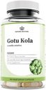 Nature Restore Gotu Kola Extract Supplement, に標準化 10 パーセントトリテルペン, 米国で製造, 90 カプセル, 非GMO, グルテンフリー, 完全菜食主義者の