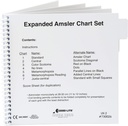 Amslerグリッドチャートセット、拡大