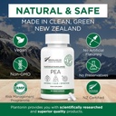 Palmitoylethanolamideのエンドウ豆の補足600mg - Micronizedのエンドウ豆は99% - 2か月の供給-接合箇所の慰めのための高度の自然なサポートを補います