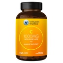 ビタミンの世界C-1000はBioflavonoidおよび野生のバラのヒップのビタミンC 250の上塗を施してあるカプレットとmgを塗りました