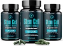 プレミアムステムセルは1,000mg(360キャップ)のブースト免疫を補い、関節の痛みを軽減し、自然アンチエイジングをサポートし、Vitality、Celulas Madre健康フォーミュラのためのスピルリナ&クロレラと長寿をサポート