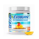 Evogen Evoburn - 男性と女性のためのThermogenic脂肪バーナー  エネルギー、焦点、および食欲制御  MitoBurn&カフェインとの高度のMetabolismブースターの脂肪質のバーナーの方式 マンゴ  30のサービング