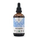 Astragalus USDAの有機性アルコールフリーのエキス | 栄養補助食品、高周波焼入れ剤 | 天然認定有機アストラガルス(アストラガルス・メンブランアセス) 乾燥ルート(4oz)