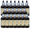 Peach Tree (Prunus Persica) Tincture, Dried Bark Liquid Extract (Brand Name: HerbalTerra, Proudly Made in USA) 20x4 fl.oz (20x120 ml)