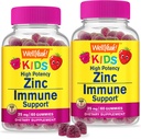 子供のためのWellYeah亜鉛25mgグミー - 免疫システムと抗酸化サポート - 皮膚の健康、最大強度の子供たち亜鉛サプリメント免疫ブースターガミー - GMOフリー、ビーガン - 60グミー(2)