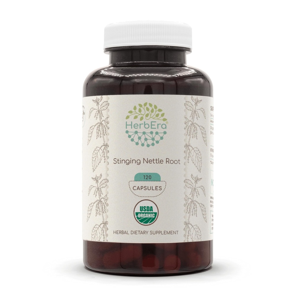 HerbEra Stinginging Nettle Root USDA Organic 120 カプセル | 天然ハーブサプリメント | 認定オーガニック ベジタリアン カプセルと有機調味料 イラクサ (Urtica Dioica) 乾燥ルート (120 カプセル)