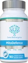 MitoDefence - 300mg CoQ10 with 21mg PQQ and 210mg Shilajit Daily dose - All-in-ONE Mitochondrial Support with Enhanced Absorption - Manufactured and Tested in The USA