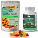 BIO VITALICA海苔グミー&マッシュルームグミー(バンドル)