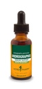 免疫システムサポートのためのハーブ Pharm Andrographis の液体のエキス、1 Fl Oz (パッケージ 1) (DANDRO01)