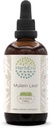 Mullein Leaf B120 Alcohol-Free Herbal Extract Tincture, Super-Concentrated Mullein (Verbascum thapsus) Dried Leaf (4 fl oz)