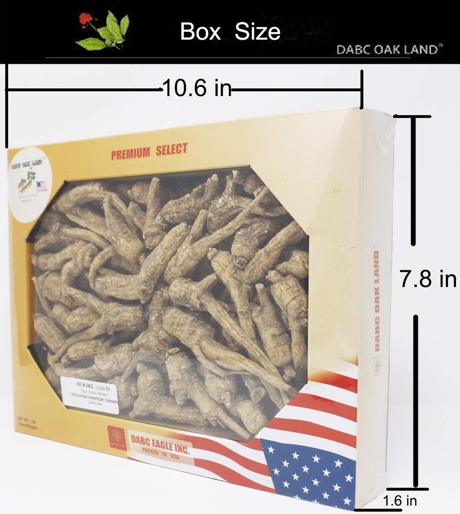 DOL Hand-Selected American Wisconsin Farmed Ginseng Root medium&Large 全国美國 辛州市 辛州 チョウチョウチョウチョウチョウチョウチョウチョウチョウチョウチョウチョウチョウチョウチョウチョウチョウチョウチョウチョウチョウチョウチョウチョウチョウチョウチョウチョウチョウチョウチョウチョウチョウチョウチョウチョウチョウチョウチョウチョウチョウチョウチョウチョウチョウチョウチョウチョウチョウチョウチョウチョウチョウチョウチョウチョウチョウチョウチョウチョウチョウチョウチョウチョウチョウチョウチョウチョウチョウチョウチョウチョウチョウチョウチョウチョウチョウチョウチョウチョウチョウチョウチョウチョウチョウチョウチョウチョウチョウチョウチョウチョウチョウチョウチョウチョウチョウチョウチョウチョウチョウチョウチョウチョウチョウチョウ