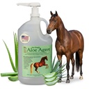 Doc HoagのアロエVera + Agave Premium Horse Supplement – アメリカ製 – オリジナルUdder Balm – ホース&大型動物のための自然胃サポート – ストレスリリーフ&潰瘍ケア, 128 Fl Oz.