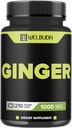 1000mgジンジャーは、Berberine HCl、Elderberry、Echinaceaとカプセルを補う - 11in1サポート消化、関節の健康、免疫システム、および心臓の健康 - 210ジンジャーピル
