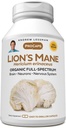 ANDREW LESSMAN Lion’s Mane 360 Capsules - Organic Full Spectrum Lion’s Mane Mushroom Extract - Supports Healthy Brain, Cognitive, and Nervous System Function - No Additives.