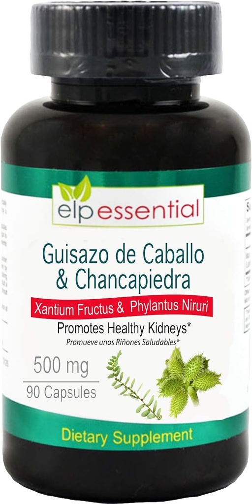Guisazo de Caballo と Chancapiedra 500 mg 90 カプセルは健康な腎臓を促進します