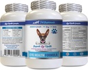 Dogs Eye Vitamins - Dogs Eye Health Formula - Advanced Eye Support Complex - VETS Recommended - Dog Lutein - 1 Bottle (60 Tablets)