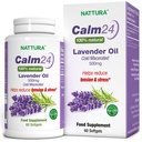 Nattura Calm Aid Lavender Oil Pills - 500mg - 60 Softgels - 100%ナチュラルで、ストレスを軽減し、ボディ&マインド、非GMO、認定コザーのために Calming