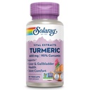 SOLARAYのターメリックサプリメント600mg - 95%クルクミンとターメリックルート - 共同サポートサプリメント - 関節の健康、胆嚢と肝臓のサポート、非GMO、ビーガン、グルテンフリー、60日間保証、60サービング