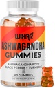 Ashwagandha Gummies with Turmeric and Black Pepper Extract - Herbal Gummy Supplement - 60 Gummies