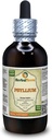 Psyllium(Plantago Ovata)チンキ、有機乾燥ハスク液抽出物(ブランド名:HerbalTerra、米国製)4 fl.oz(120 ml)