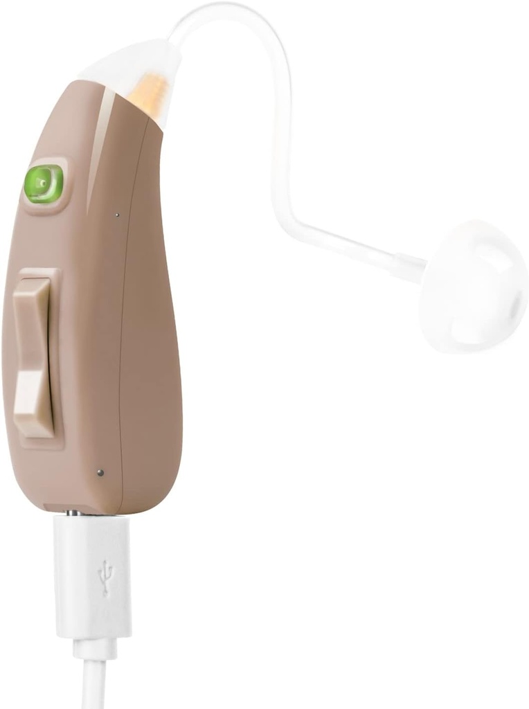 Banglijian の補聴器 Ziv-201A の再充電可能なデジタル騒音は小さいサイズを取消します(どちらかの耳にフィットして下さい)