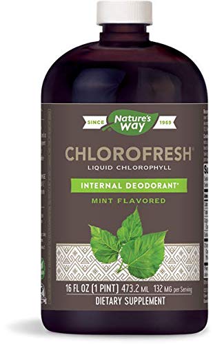 Nature's Way Chlorofresh 液体クロロフィル内部消臭剤 16 液臭、ミント風味、2 パック