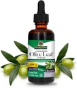 Nature's Answer Olive Leaf Extract, アルコールフリー, 非GMO, 完全菜食主義者の, グルテンフリー, 米国製, 2 Ounce | ウェルネスのためのオリーブリーフエキス