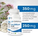 ビタミン33 + Baldrian® Plusナチュラルリラクシングサポート標準化されたバレリアンエキス (60)