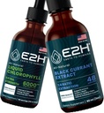 E2H:液体クロロフィルと天然黒のカラントエキス | ヴィーガン、非GMO - 2 Fl Oz 各(4 Fl Oz合計) - バンドル