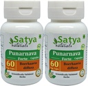 Punarnava Forte Capsule 500 mg. 60 Veg. Capsule | Punarnava (Boerhaavia Diffusa) Extract Capsules for Men and women | Ayurvedic Herbal Supplement/Remedies | 10:1 Forte (2 Bottles of 60 Capsules)