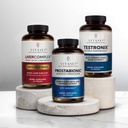 VITASEIの男性の健康パワーパック - Testronix、Prostabionic&Liverクレンジングバンドル - ブーストエネルギー、筋肉、前立腺、およびターゲットサプリメントと肝臓の健康