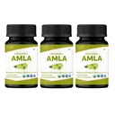 Amla 120錠 - USDAオーガニックインドのGooseberry - ビタミンC豊富で免疫健康をサポート* - 3パック